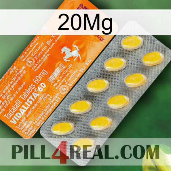 20Mg new05.jpg